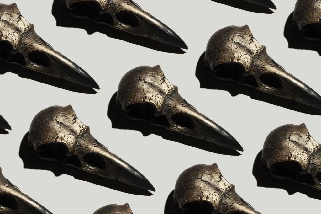 bronzed bird skulls flatlay