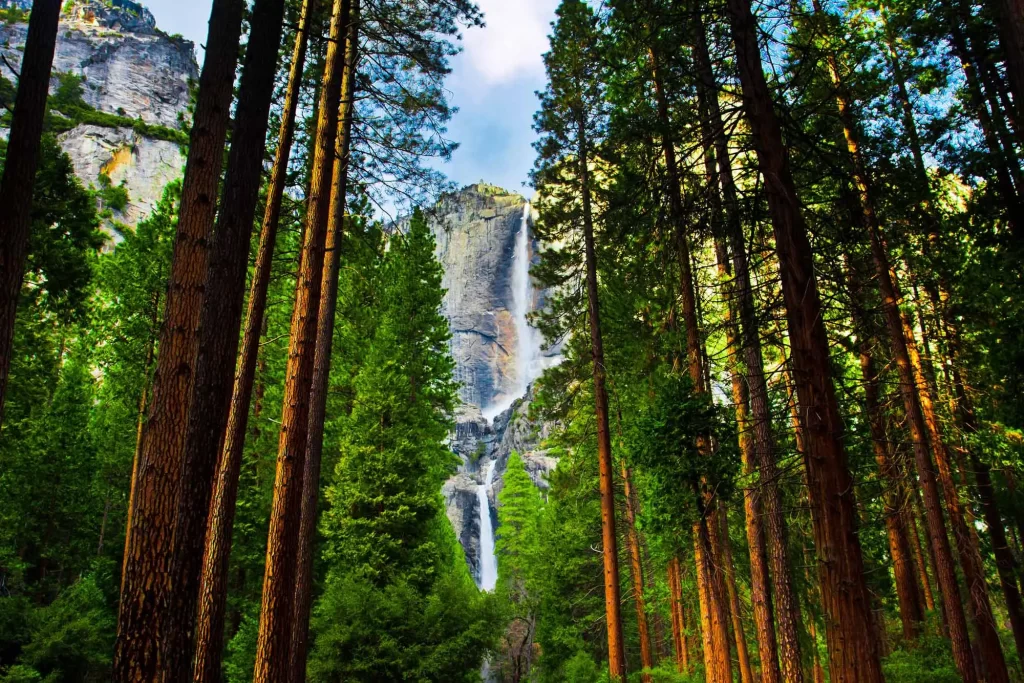 waterwall sequoia national park