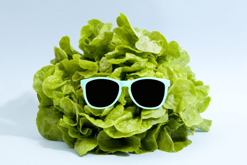 Funky,Isolated,Lettuce,Wearing,Sunglasses,On,A,Pop,Vibrant,Blue