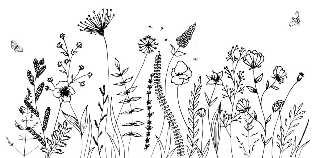 Black,Silhouettes,Of,Grass,,Flowers,And,Herbs,Isolated,On,White