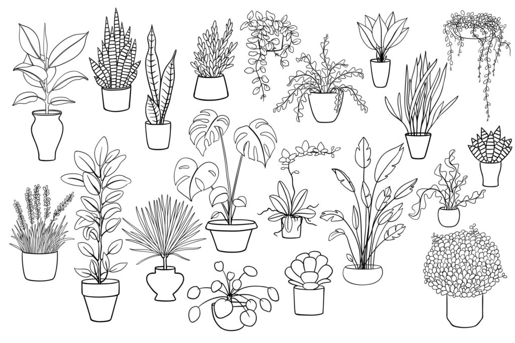 20,Black,And,White,Illustrations,Of,House,Plants