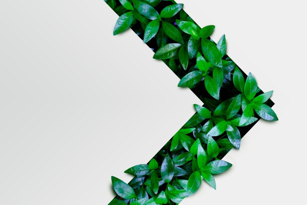 Green,Leaves,Texture,In,The,Form,Of,An,Arrow.,Mockup